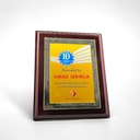 FP 10619AL PB GOLD B