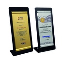 WM 9969 GOLD
