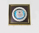 FP 10833