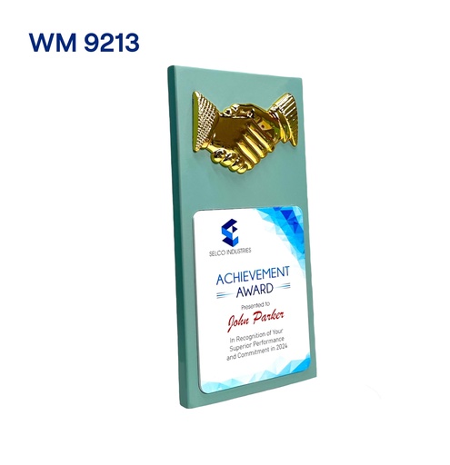 WM 9213